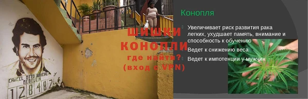 молекула духа Новокубанск