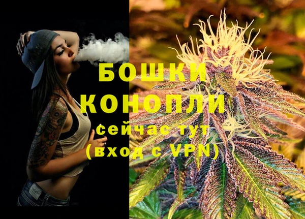 ALPHA PVP Новозыбков