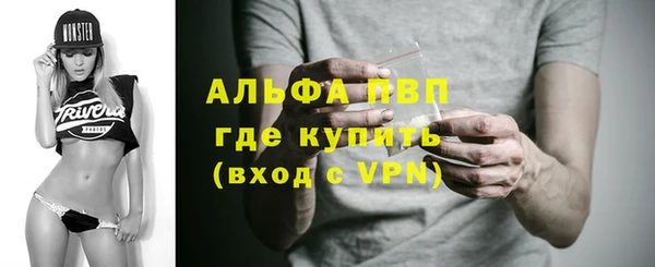 молекула духа Новокубанск