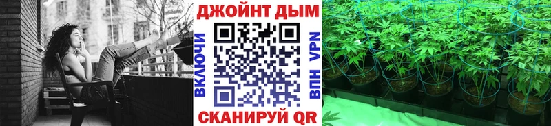 закладки Мураши Бошки Шишки AK-47